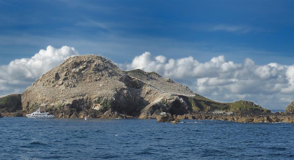 eilandengroep 7 îles - Camping Trébeurden - Camping Armor Loisirs