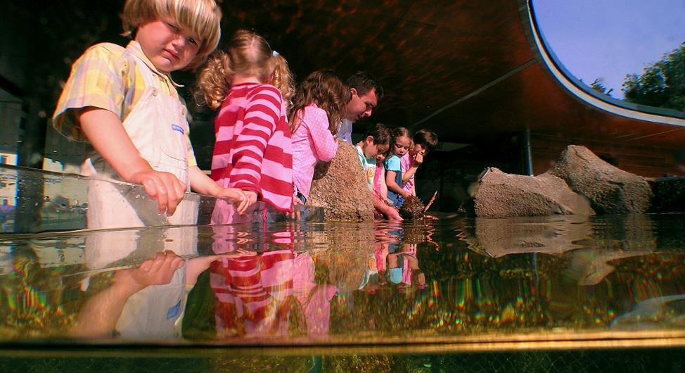 Zeeaquarium van Trégastel bij de 3-sterren camping Armor Loisirs in Trébeurden, verhuur van staanplaatsen, stacaravans en chalets, camping met zwembad aan de Roze Granietkust bij Perros Guirec - Camping Armor Loisirs